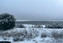 La nieve tiñe de blanco los campos conquenses
