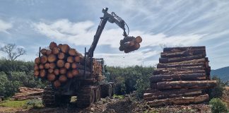 La Junta crea las mancomunidades Sierra de Cuenca y Los Serranos para la gestión forestal pública