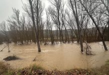 El Ayuntamiento insta de nuevo al desalojo del paraje del Royo ante la crecida del Júcar