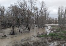 El caudal del Júcar a su paso por Cuenca baja a nivel naranja