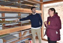 República Checa-Barcelona-Arandilla: la ruta de Sarka para emprender en un pueblo conquense de 14 vecinos