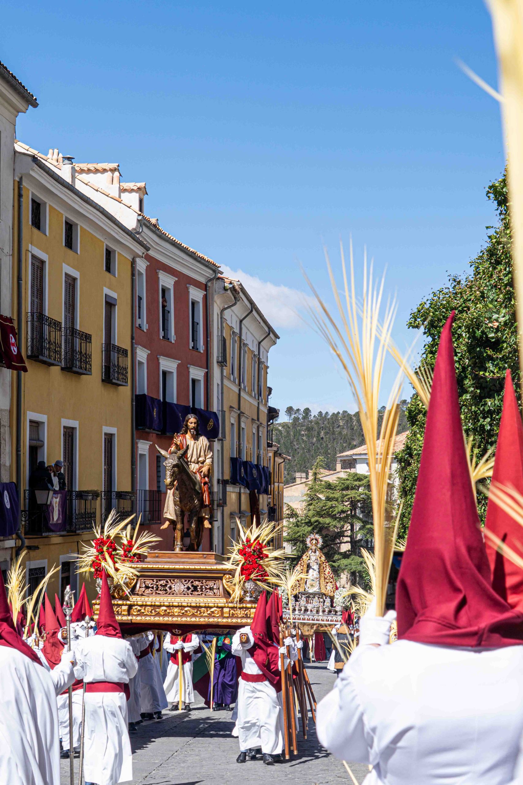 Domingo de Ramos _115