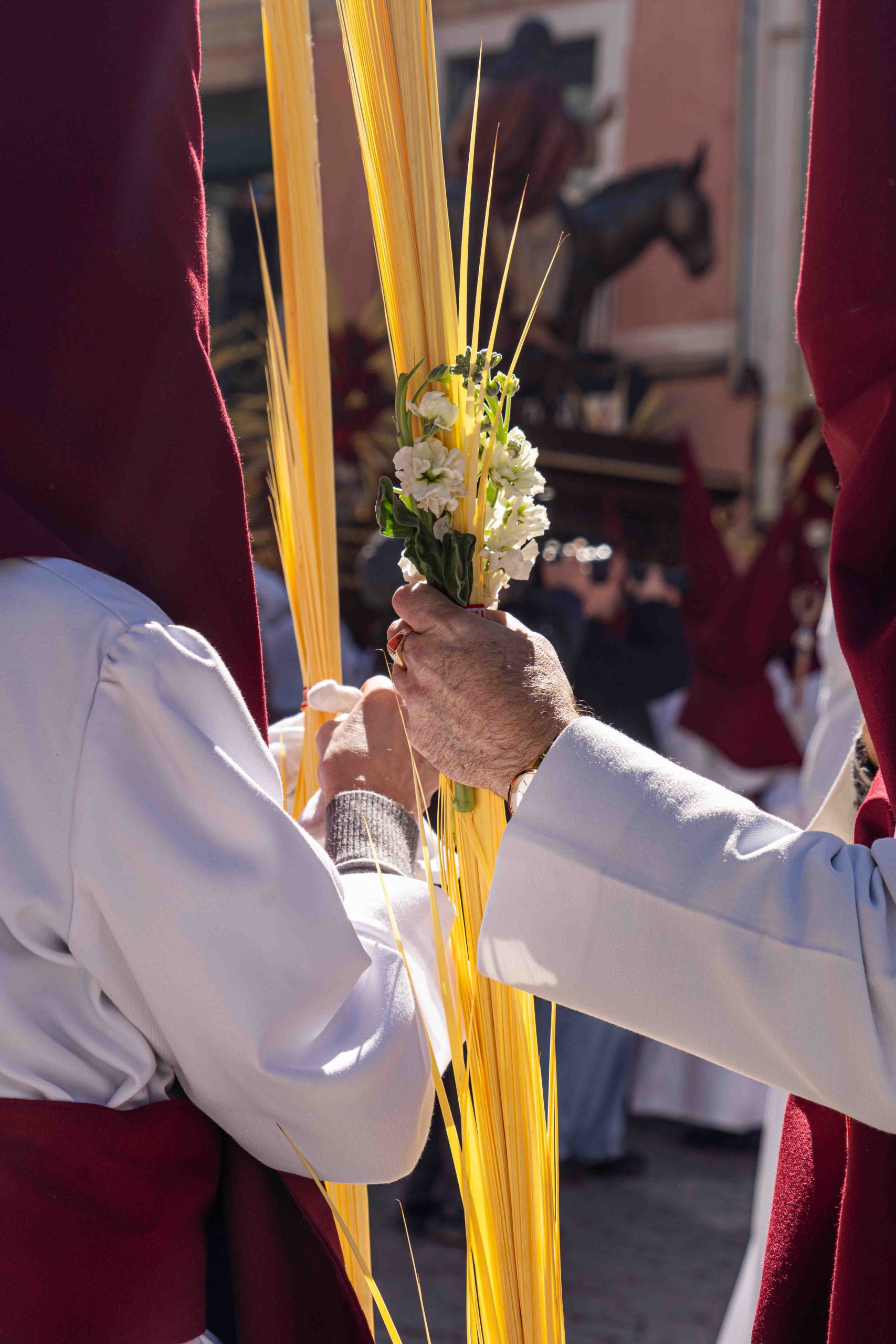 Domingo de Ramos _121