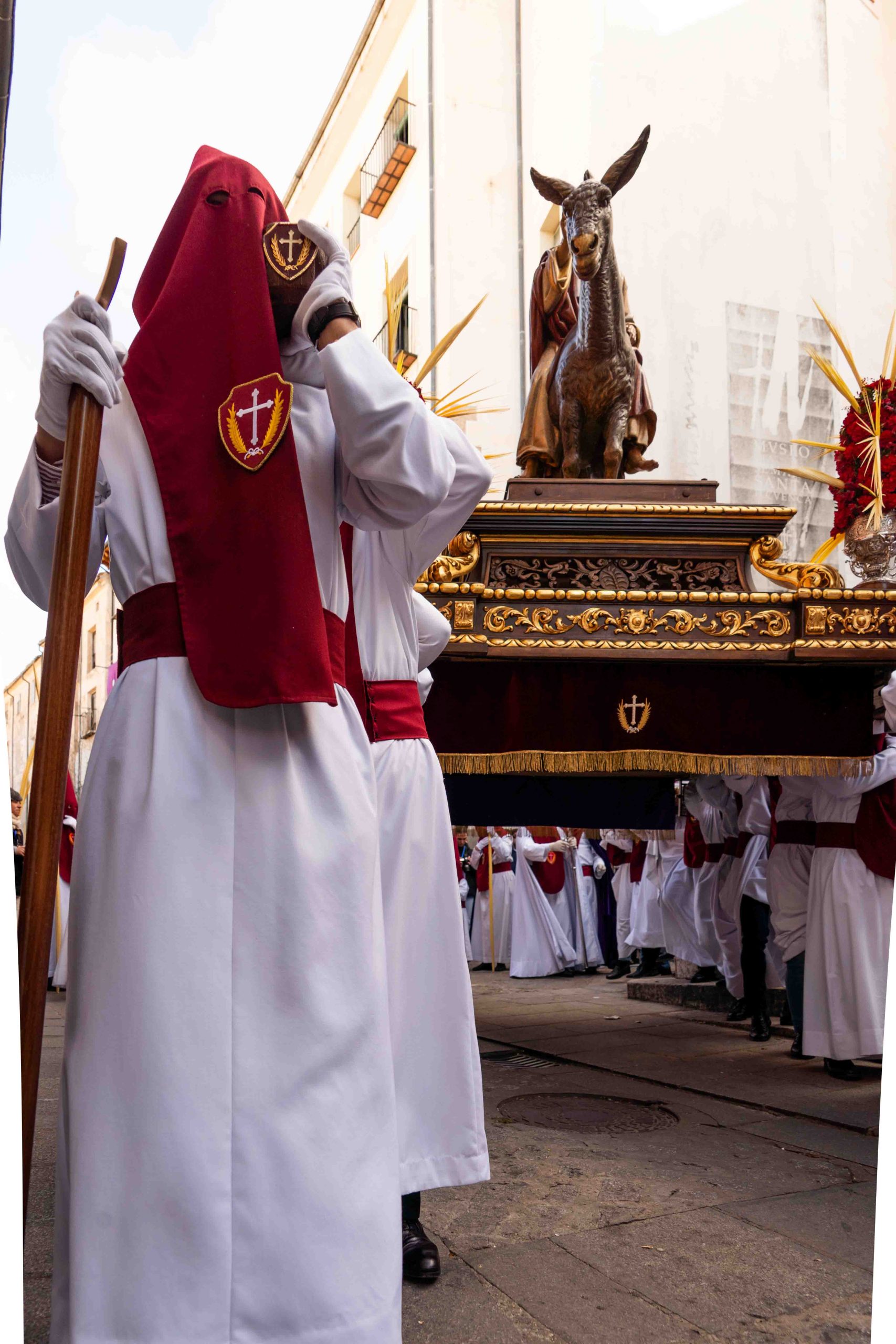 Domingo de Ramos _24