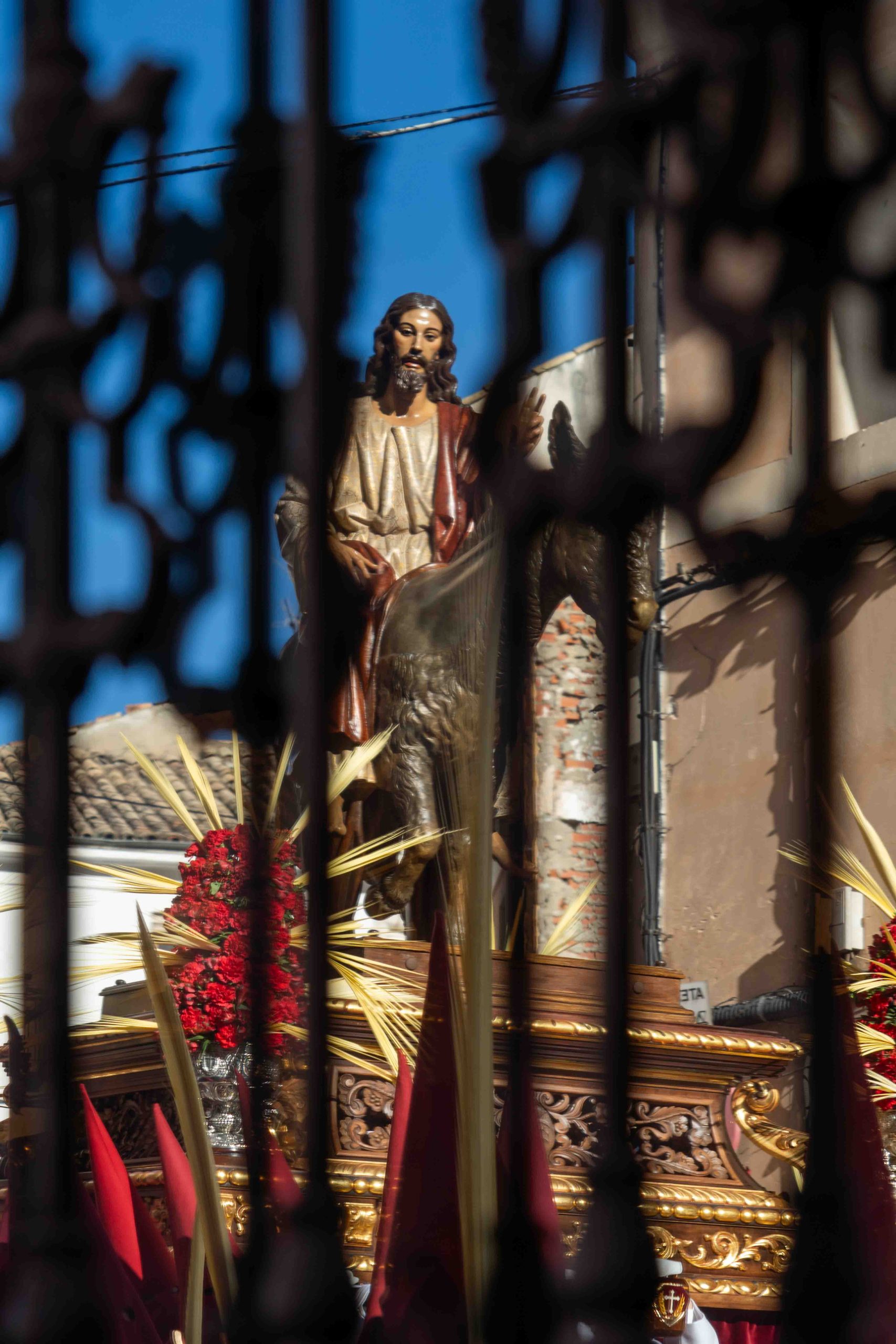 Domingo de Ramos _38