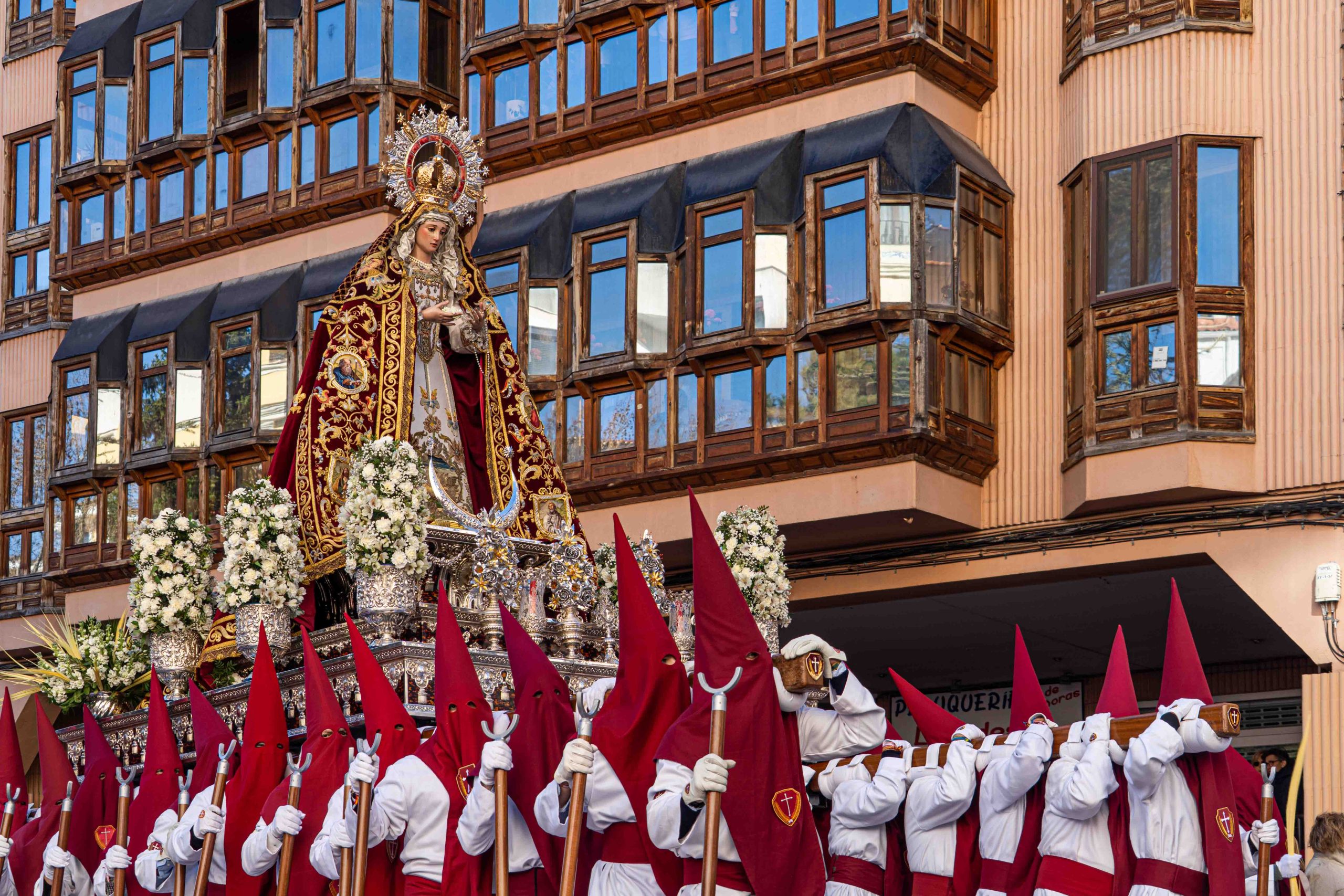 Domingo de Ramos _86
