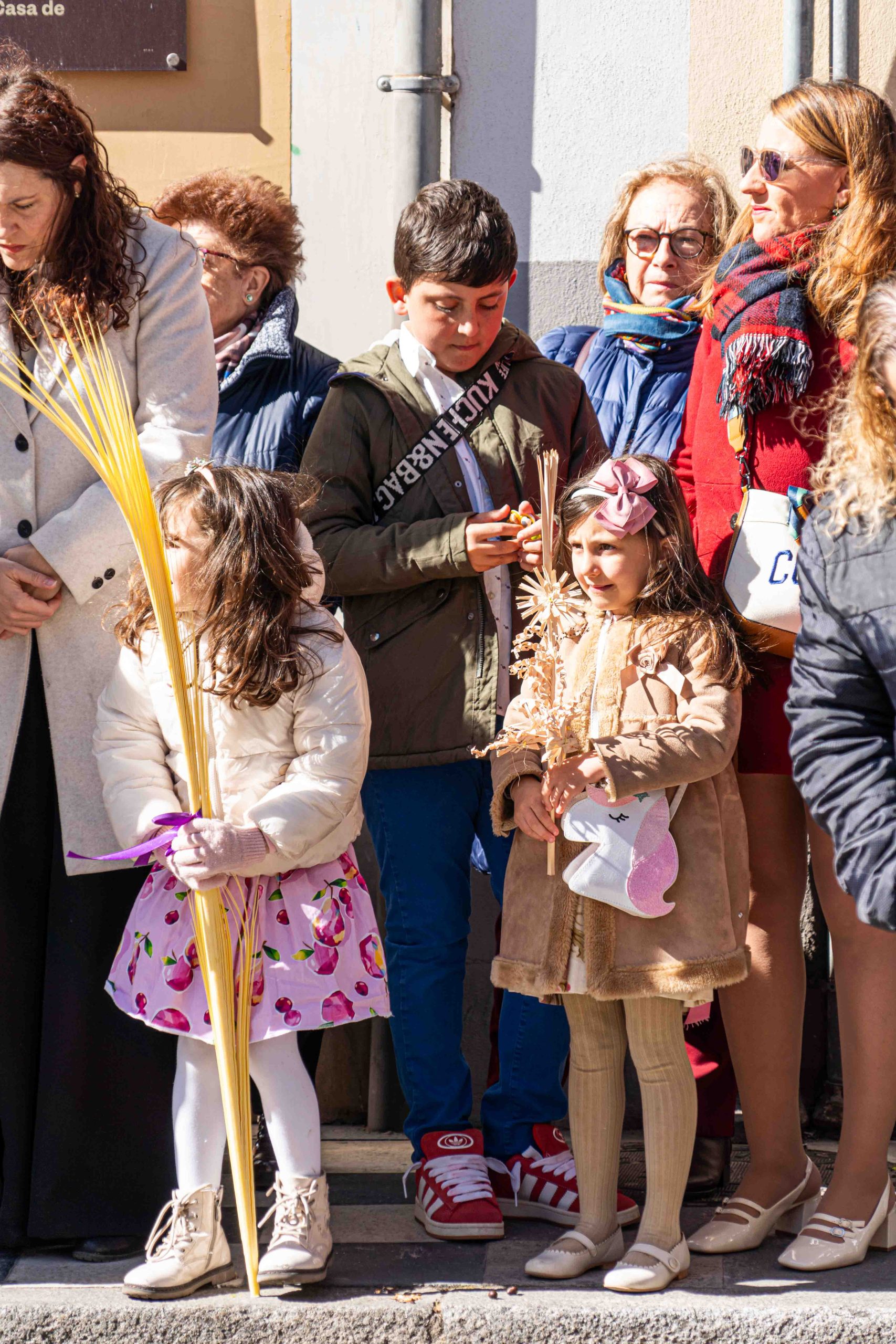 Domingo de Ramos _88