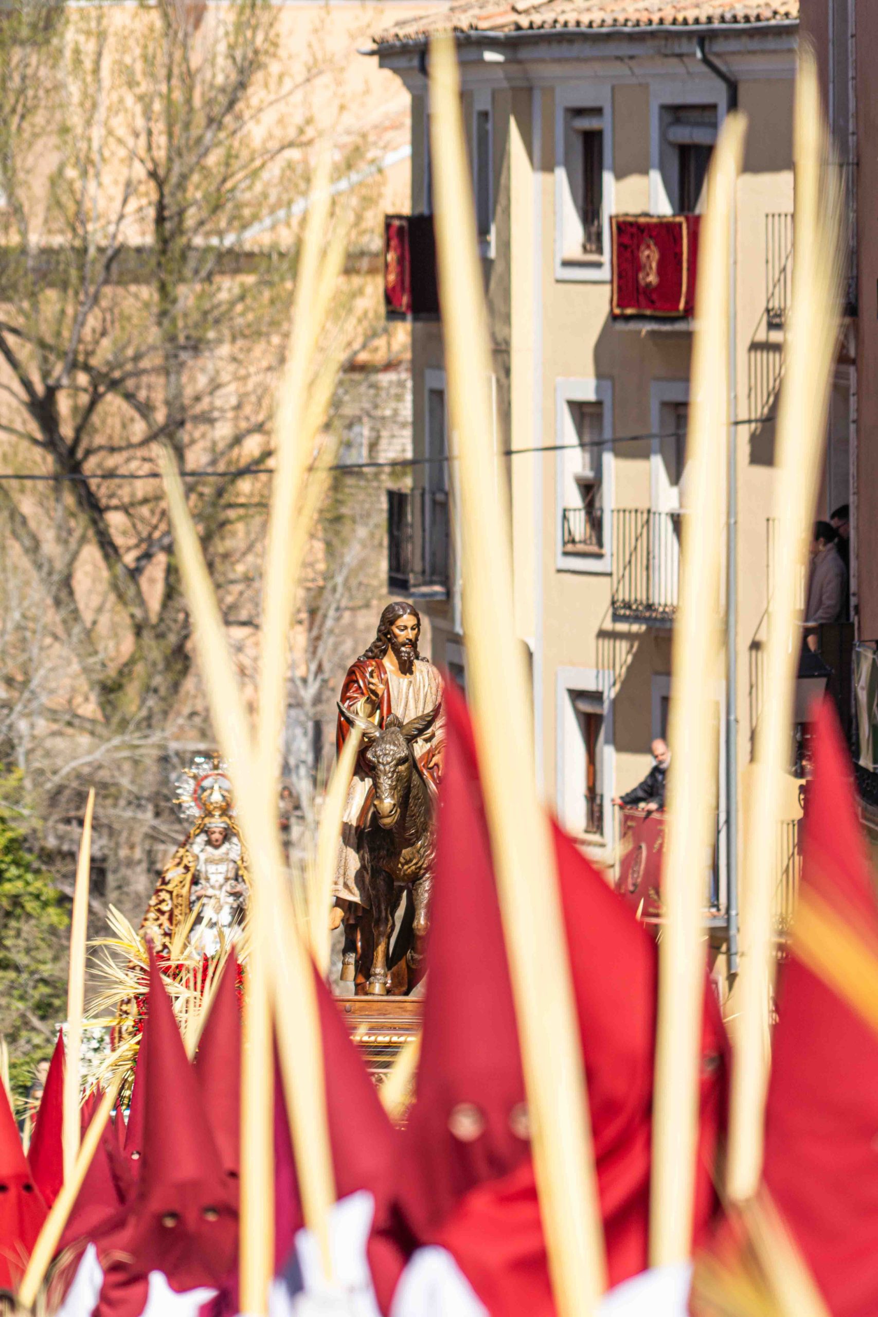 Domingo de Ramos _98