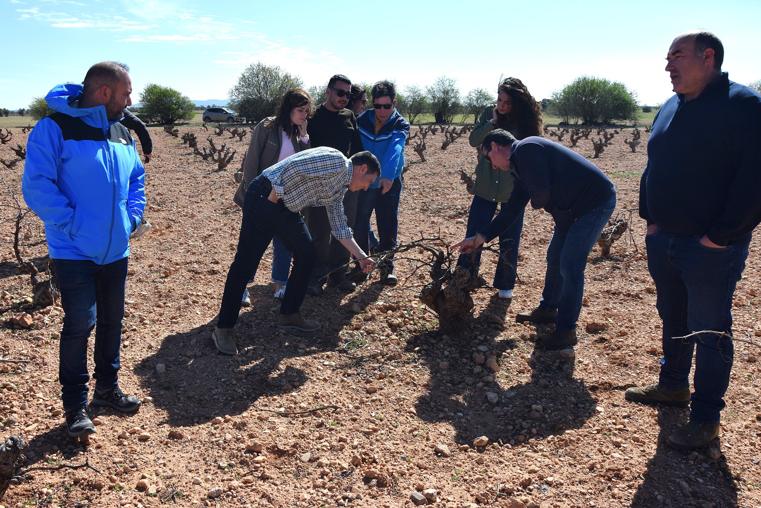 Hasta un 75% de adelanto de las ayudas para el control de la plaga de conejos