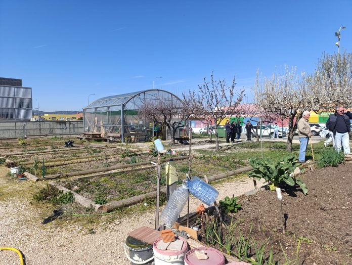 Huertos Sociales en Villa Román