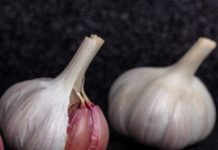 Productores del ajo en Cuenca «desean» un rendimiento normal a pesar de algunos daños por las lluvias