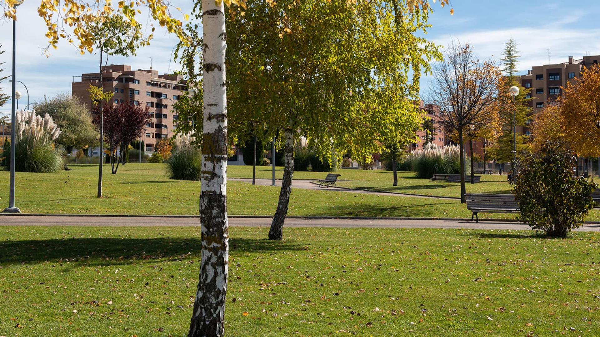 La renovación prevista en el área infantil del parque Titiricuenca se hará finalmente en el Adolfo Suárez