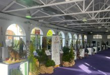 Una exposición comemora en La Hípica el vigésimo aniversario de la empresa pública Geacam
