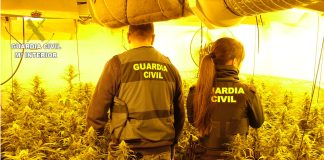 La Guardia Civil desarticula dos plantaciones ‘indoor’ de marihuana de cultivo intensivo en Enguídanos