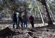 Limpiezas preventivas frente a los incendios en Las Chorreras y otros puntos del Valle del Cabriel