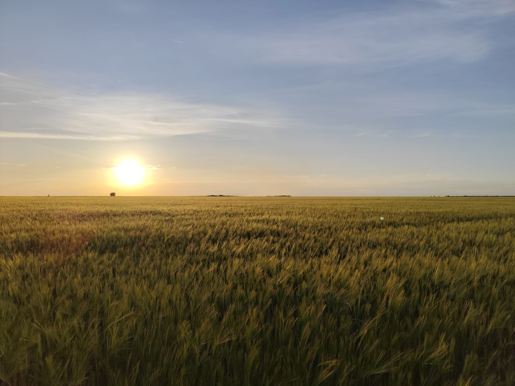 Castilla-La Mancha destina 720.000 euros para impulsar canales de comercialización y mercados de productos agrícolas