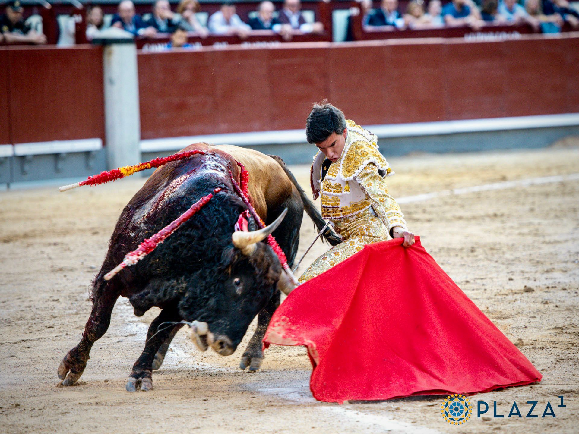 De la cuna al ruedo: los rostros de las jóvenes promesas del toreo conquense