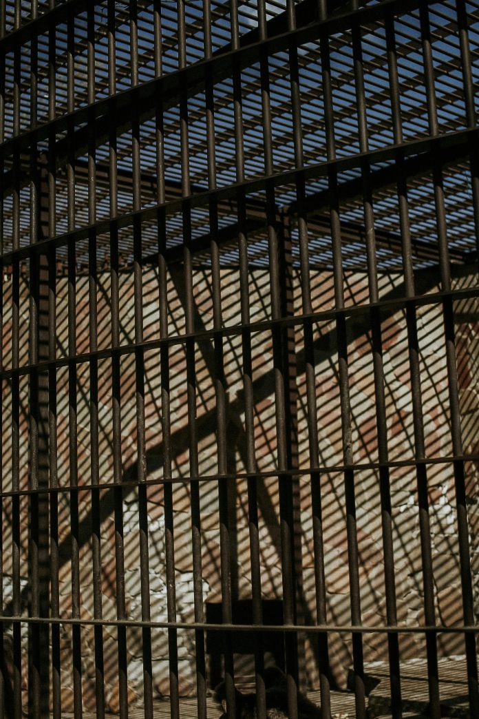Reja, cárcel. FOTO: Nikita Nikitin vía Pexels