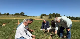 El Centro de Investigación Agroforestal Albaladejito muestra su actividad a 1.500 visitantes