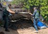 Desarticulado un grupo que robó en explotaciones, planta y hogares de Cuenca, Albacete y Ciudad Real