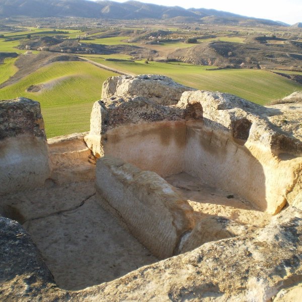 cavagarcinarro