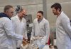 Medio millón de euros de ayudas de la Diputación para premiar el talento emprendedor de las empresas