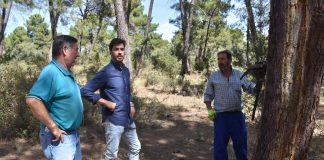 La Diputación de Cuenca apoya a los trabajadores autónomos del sector de la resina con 40.000 euros