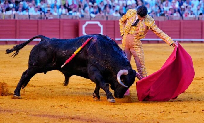 pablo aguado a domingo hernandez feria de abril sevilla 2026