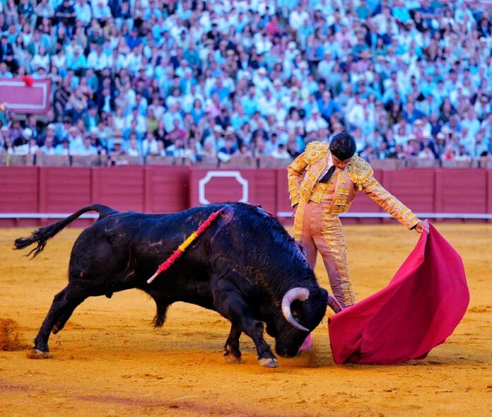 Domingo Hernández, Montalvo y la conquense Pedro Mota, entre las ganaderías que se lidiarán en San Julián