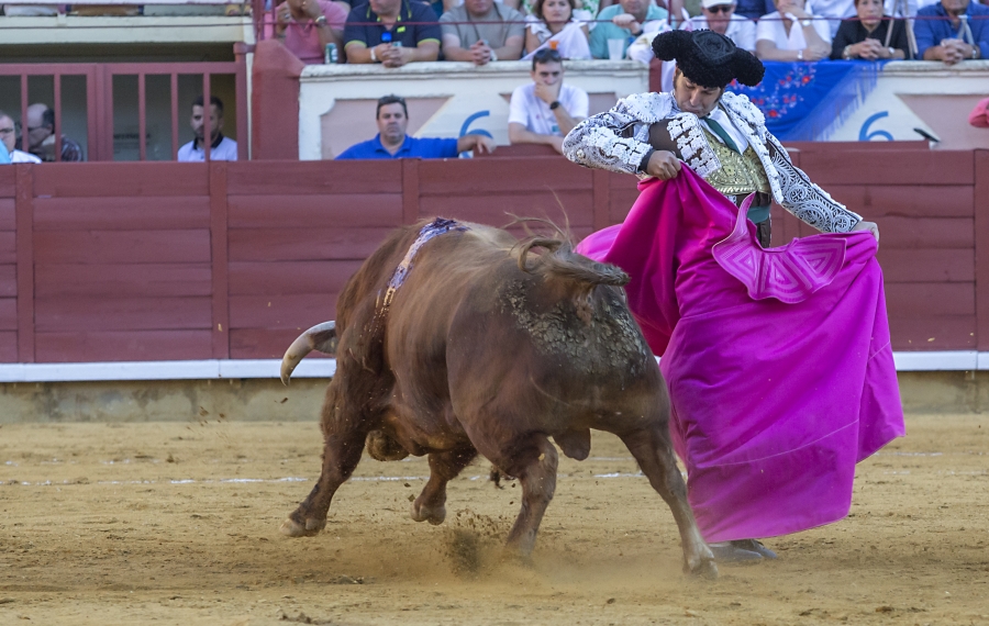 La Feria de San Julián 2026 ya tiene carteles: Morante de la Puebla hará doble paseíllo en Cuenca