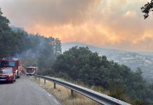 Bomberos de la Diputación de Cuenca, en el operativo del incendio forestal de Guadalajara