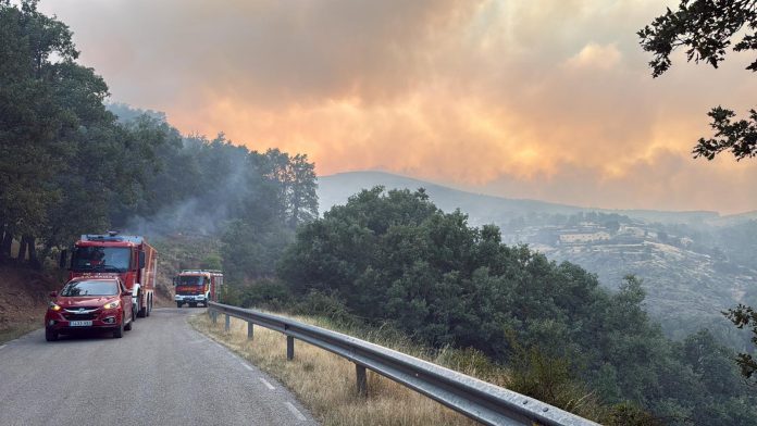 Bomberos 1