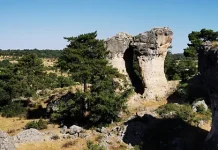 Ver las estrellas en Las Majadas y conocer los insectos en Lagunillos, propuestas gratuitas para disfrutar de la Serranía