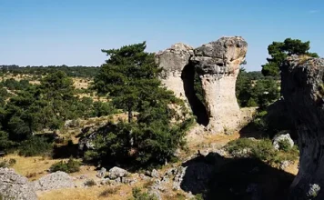 Ver las estrellas en Las Majadas y conocer los insectos en Lagunillos, propuestas gratuitas para disfrutar de la Serranía
