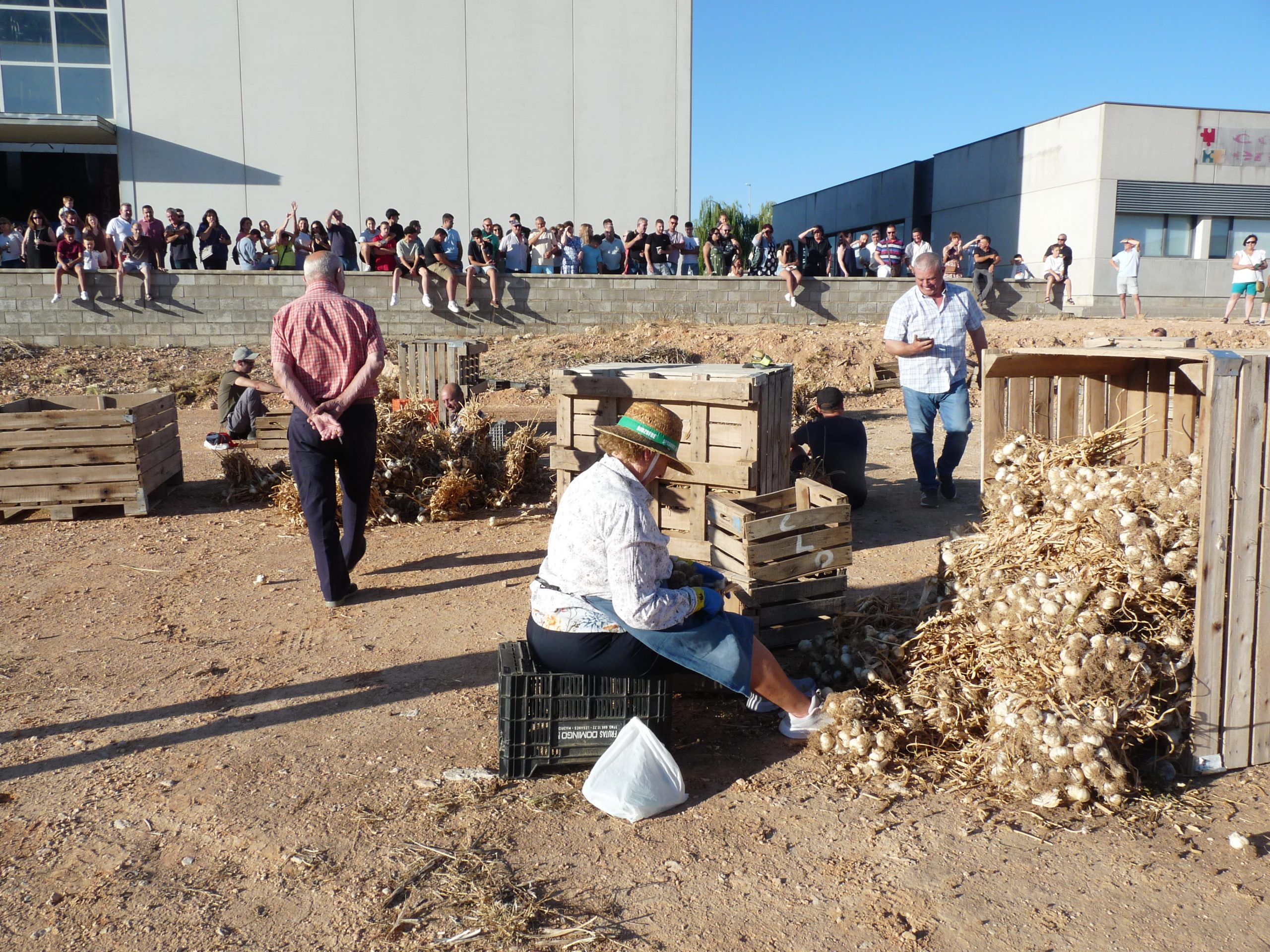 Un taller de remedios naturales con el ajo morado, otro aliciente más de la LII Feria Internacional del Ajo