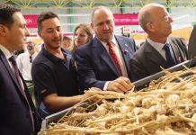 El ajo mantiene su condición de producto prioritario en el Plan Estratégico de la PAC 2023-2027