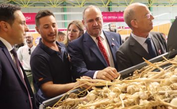 El ajo mantiene su condición de producto prioritario en el Plan Estratégico de la PAC 2023-2027
