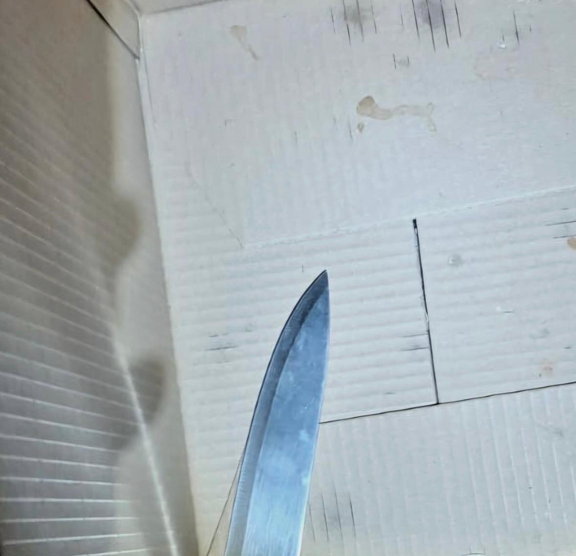 Lesiones a dos agentes en el Paseo de San Antonio en la pasada noche del sábado