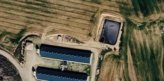 El impacto de la ampliación de la macrogranja en La Ventosa, a debate este sábado en las pedanías