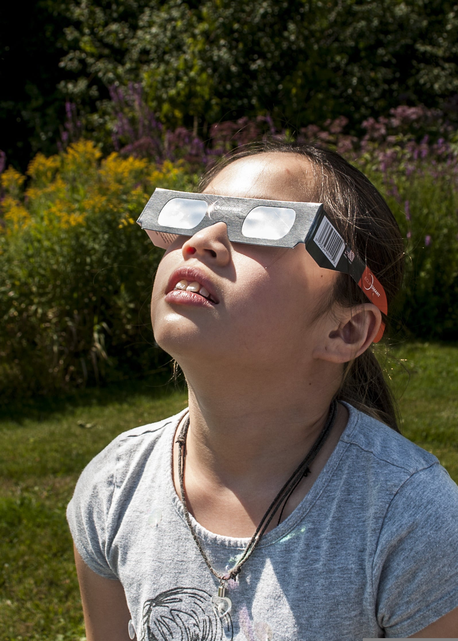 Todas las recomendaciones de la Consejería de Sanidad para ver el eclipse del 12 de agosto